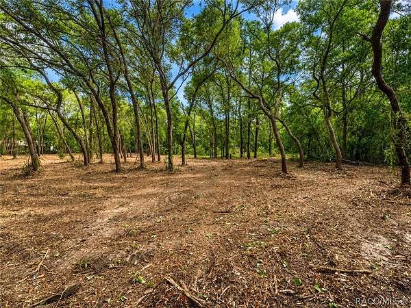 0.61 Acres of Land for Sale in Homosassa, Florida
