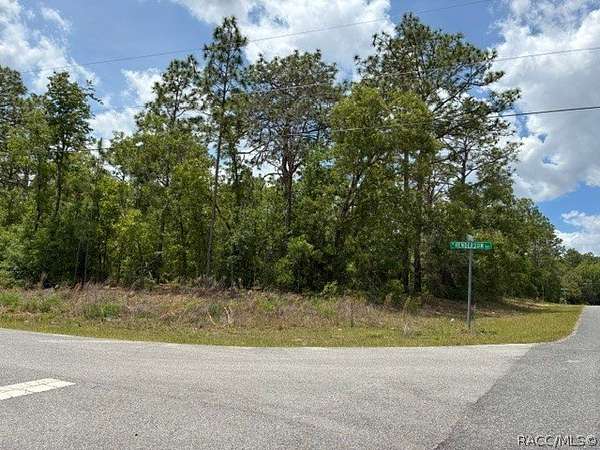 0.34 Acres of Residential Land for Sale in Citrus Springs, Florida