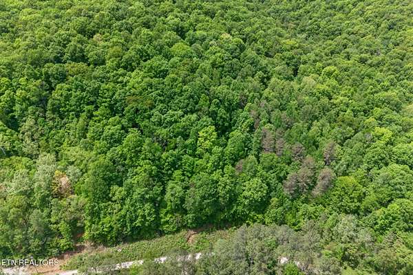 8.45 Acres of Residential Land for Sale in Wilder, Tennessee