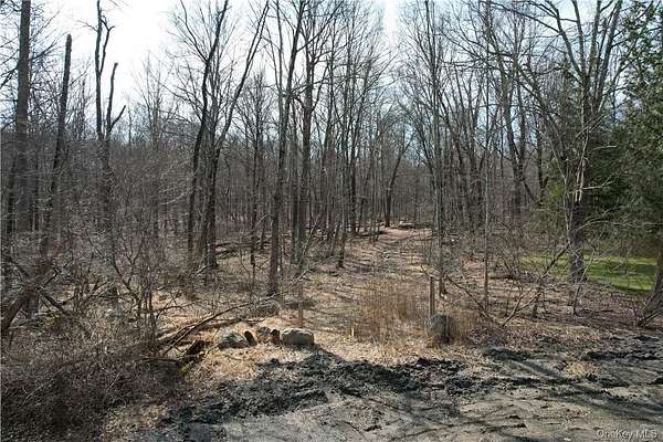 110 Acres of Land for Sale in Mahopac, New York