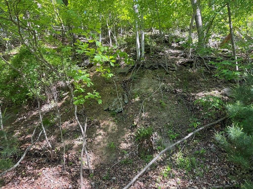 0.5 Acres of Residential Land for Sale in Fancy Gap, Virginia