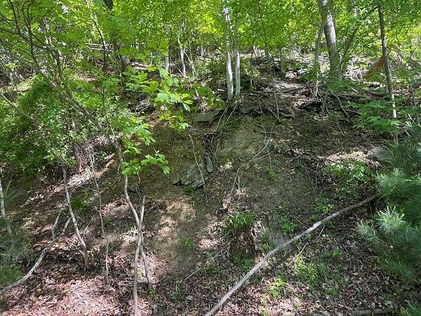 0.5 Acres of Residential Land for Sale in Fancy Gap, Virginia