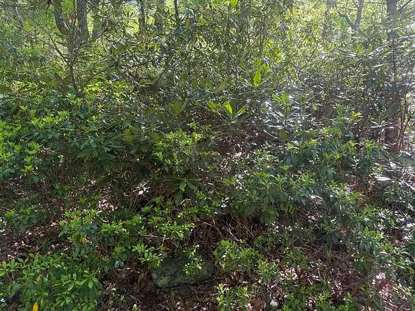 0.5 Acres of Residential Land for Sale in Fancy Gap, Virginia