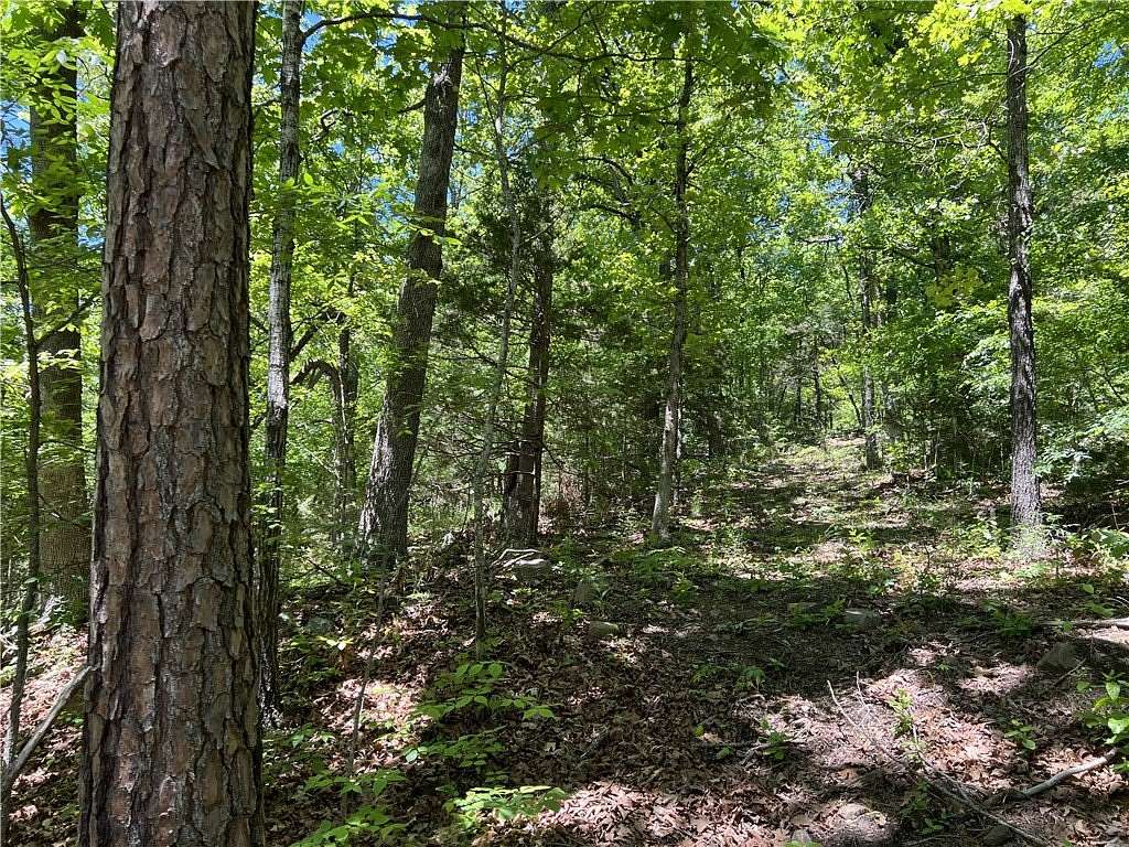 19.3 Acres of Land for Sale in Harrison, Arkansas
