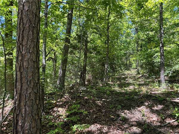 19.3 Acres of Land for Sale in Harrison, Arkansas
