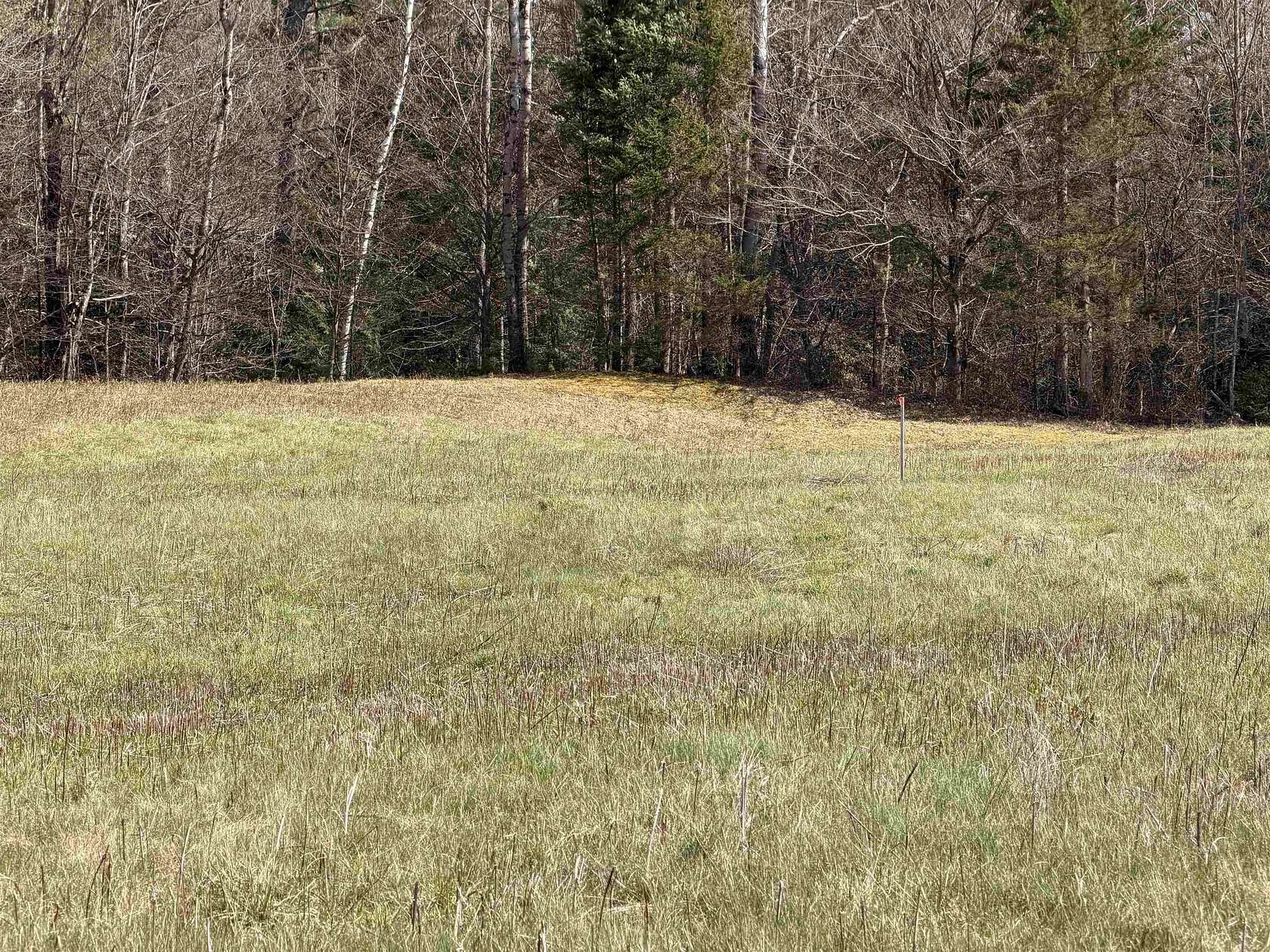 10.3 Acres of Land for Sale in Mount Holly, Vermont
