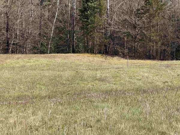 10 Acres of Residential Land for Sale in Mount Holly, Vermont