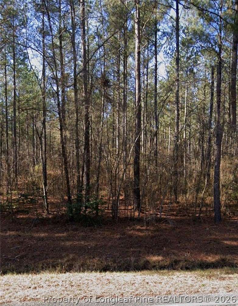 19 Acres of Land for Sale in Linden, North Carolina
