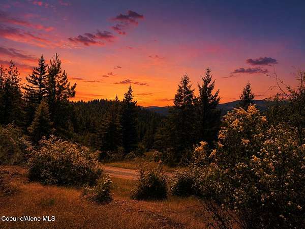 20.2 Acres of Land for Sale in Priest River, Idaho