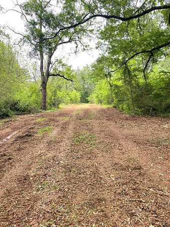 104 Acres of Recreational & Residential Land for Sale in Gladys, Virginia
