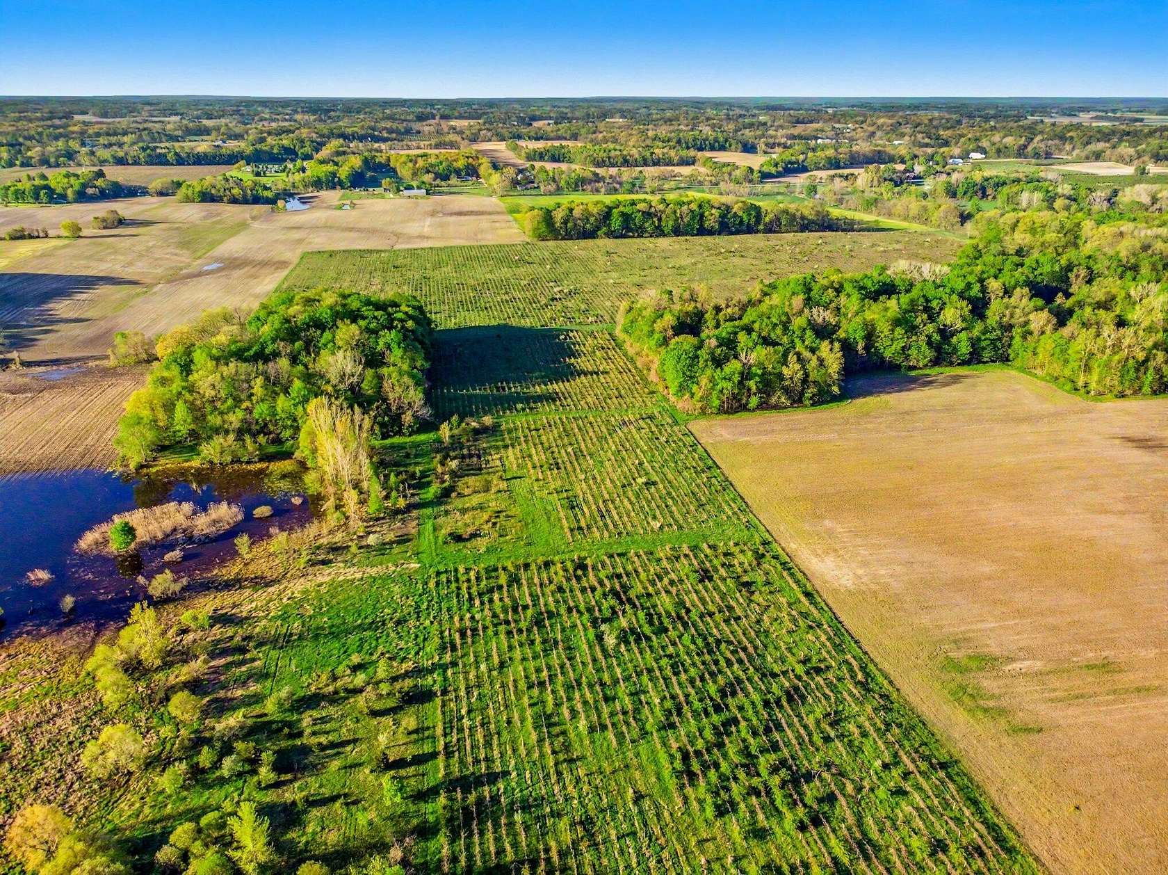65.1 Acres of Agricultural Land for Sale in Berrien Springs, Michigan