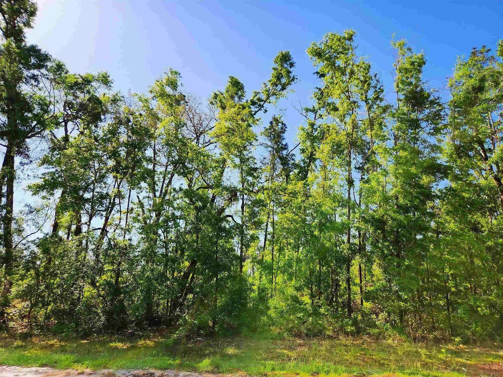 3.9 Acres of Residential Land for Sale in Jennings, Florida
