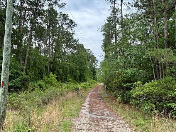 9.8 Acres of Residential Land for Sale in Nashville, Georgia