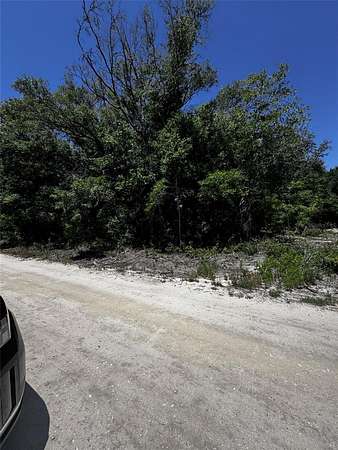 0.23 Acres of Residential Land for Sale in Dunnellon, Florida
