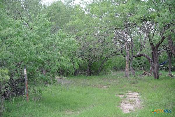 5 Acres of Residential Land for Sale in Kingsbury, Texas