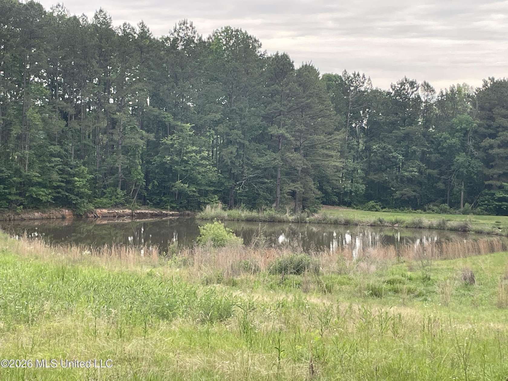 4.29 Acres of Residential Land for Sale in Pelahatchie, Mississippi