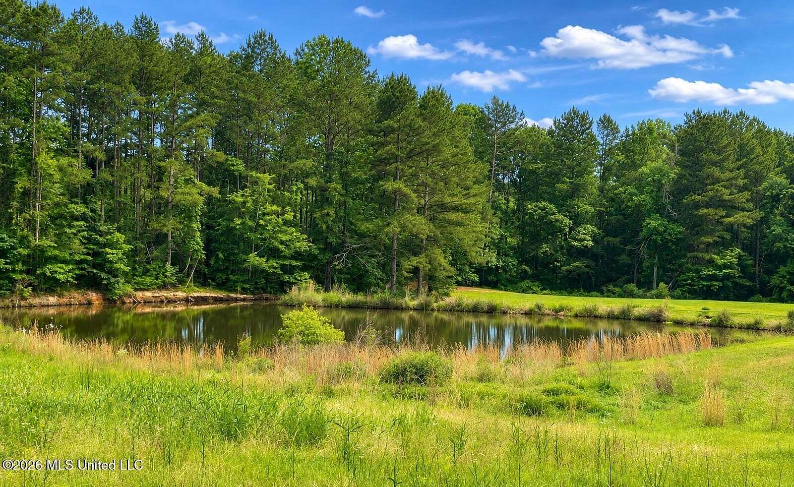 4.29 Acres of Residential Land for Sale in Pelahatchie, Mississippi