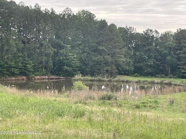 4.29 Acres of Residential Land for Sale in Pelahatchie, Mississippi