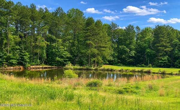 4.29 Acres of Residential Land for Sale in Pelahatchie, Mississippi