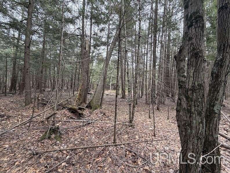 10 Acres of Recreational & Residential Land for Sale in Bark River, Michigan