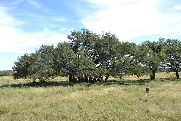22.6 Acres of Agricultural Land for Sale in Harper, Texas