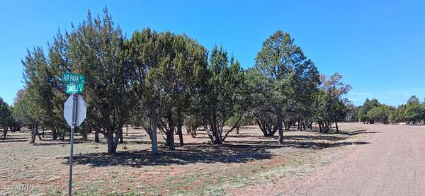 0.86 Acres of Residential Land for Sale in Overgaard, Arizona