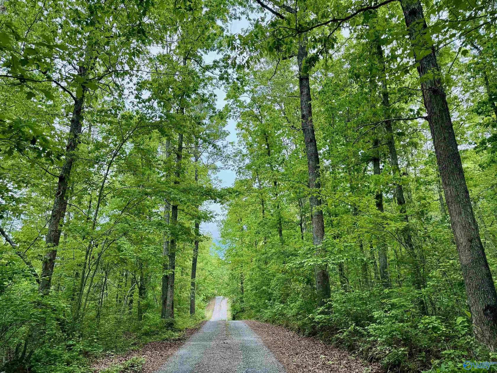 Residential Land for Sale in Mentone, Alabama