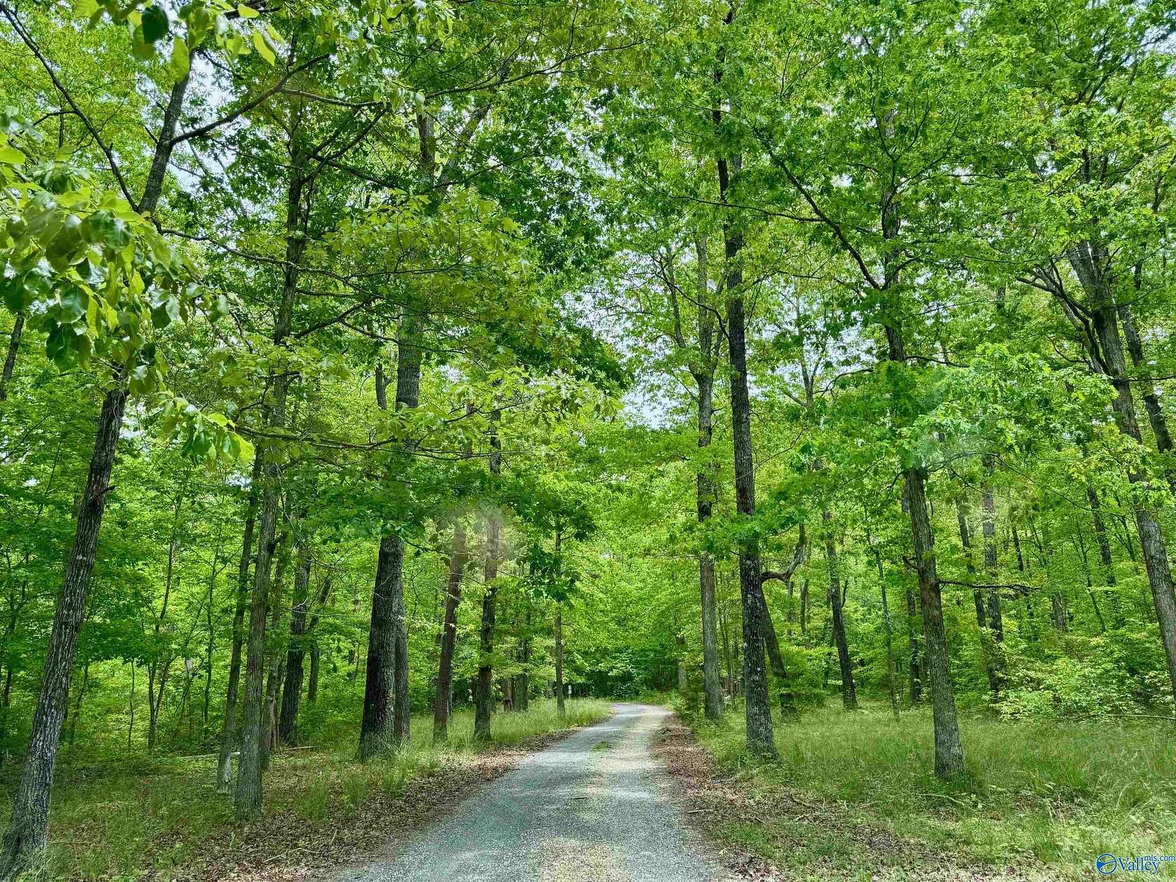 Residential Land for Sale in Mentone, Alabama