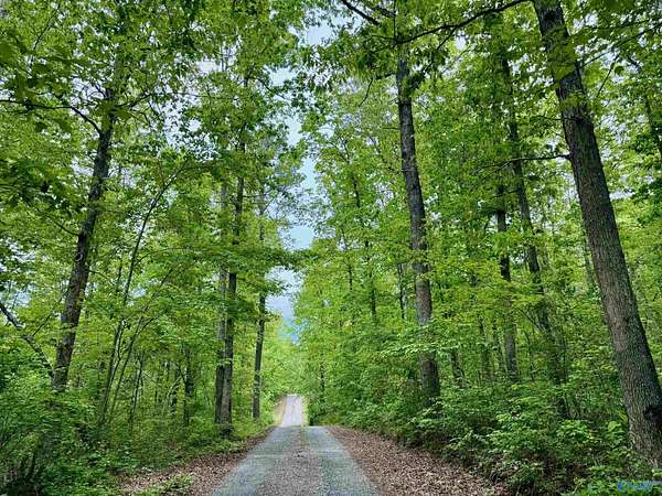 Residential Land for Sale in Mentone, Alabama