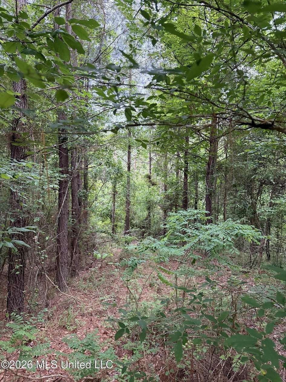 24.3 Acres of Recreational Land for Sale in Natchez, Mississippi