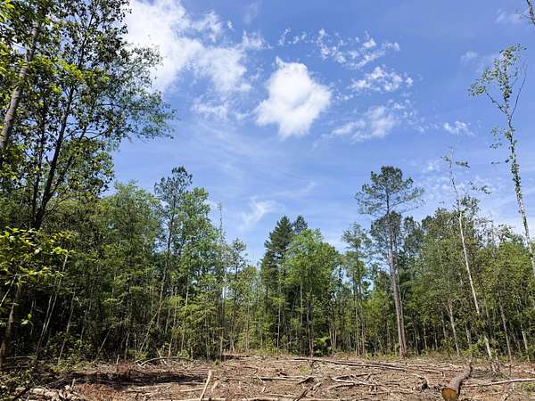 17.2 Acres of Recreational Land for Sale in Brooklyn, Mississippi