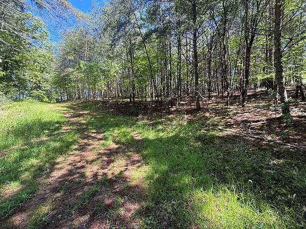 1.1 Acres of Residential Land for Sale in Murphy, North Carolina