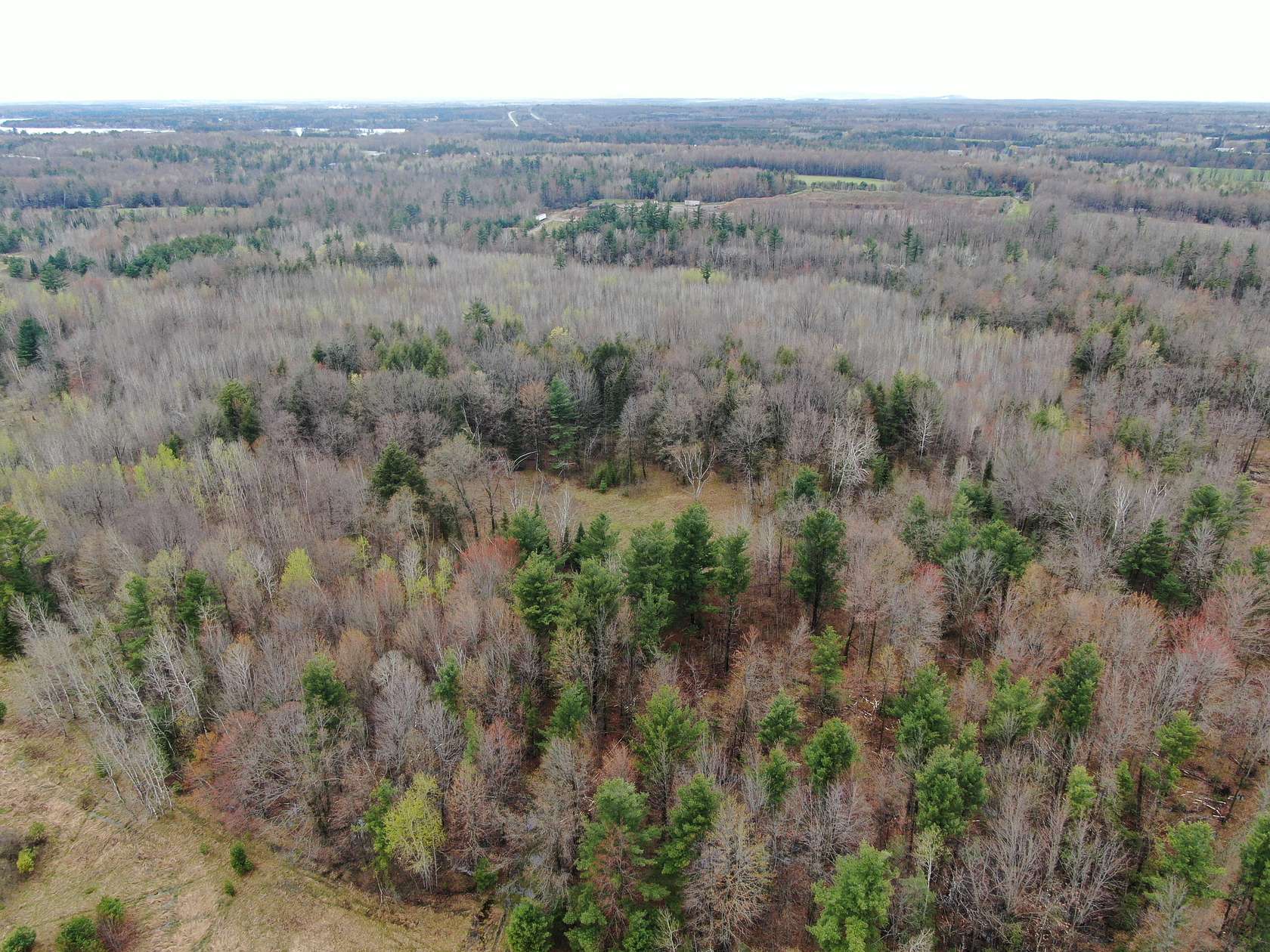 120 Acres of Land for Sale in Mosinee, Wisconsin