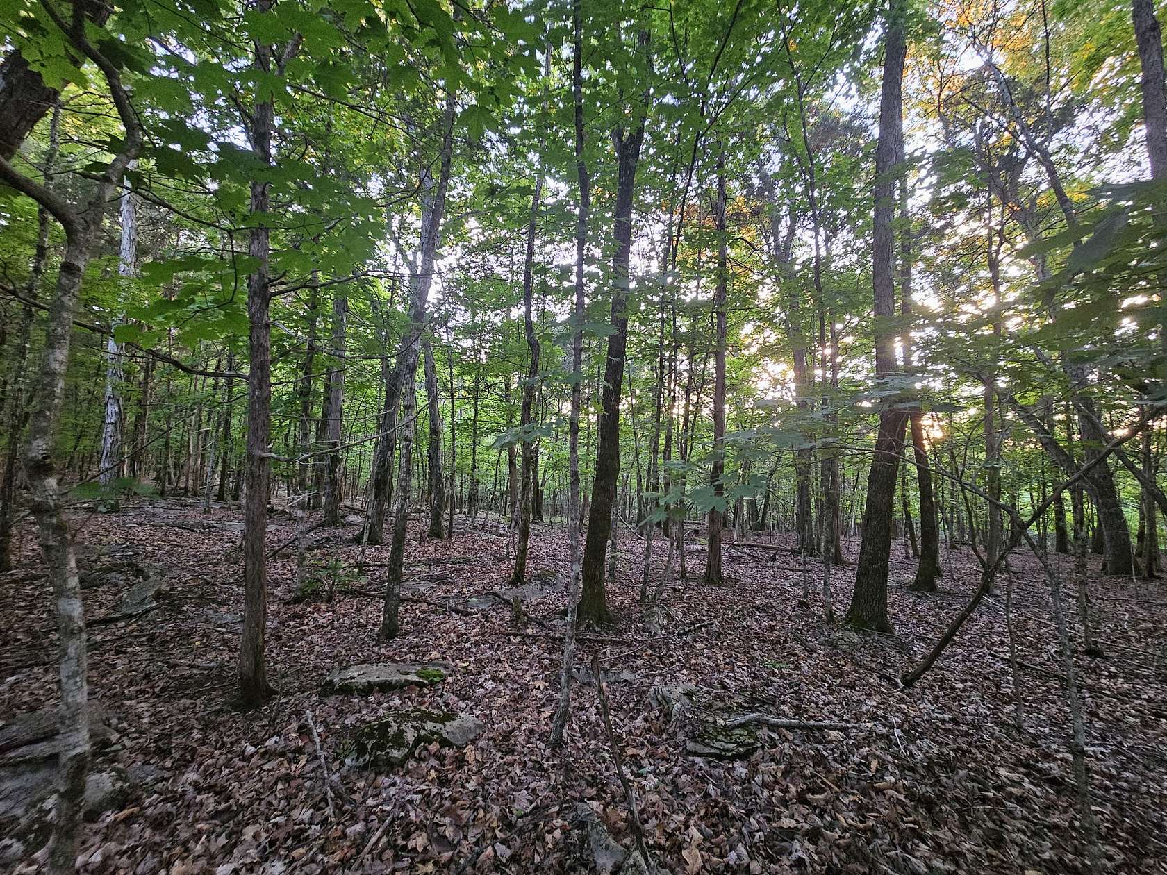 10.3 Acres of Land for Sale in Decherd, Tennessee