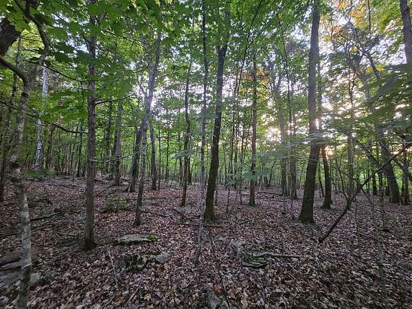 10.3 Acres of Land for Sale in Decherd, Tennessee