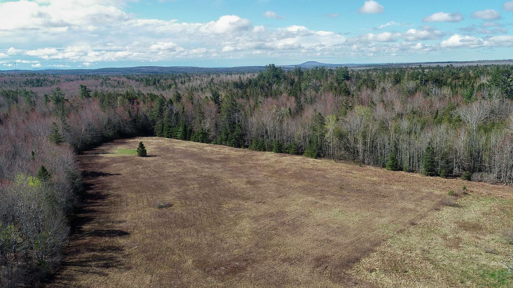 45.1 Acres of Land for Sale in Ellsworth, Maine