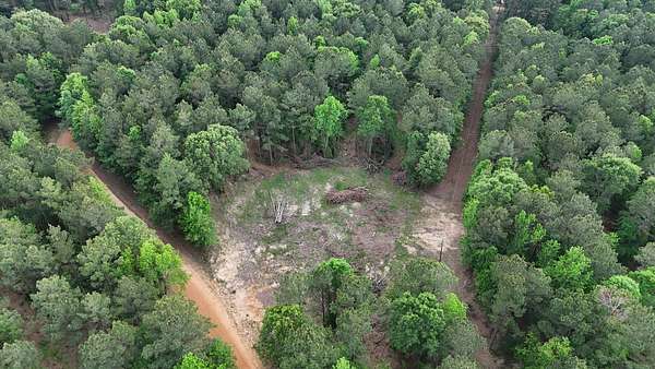 90 Acres of Land for Sale in Winnfield, Louisiana
