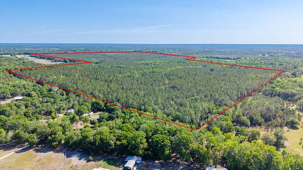 325 Acres of Land for Sale in Starke, Florida