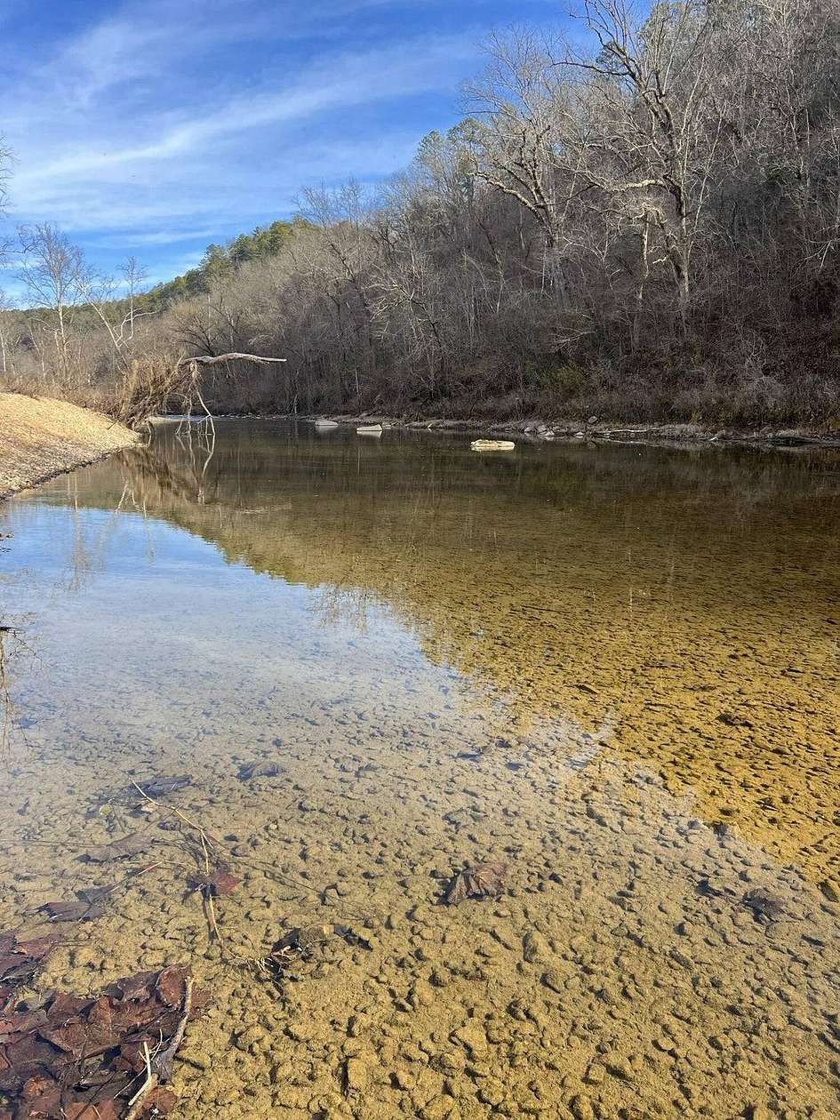 20 Acres of Recreational Land for Sale in Brixey, Missouri