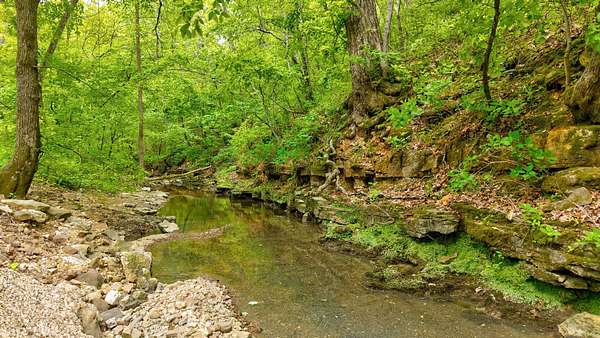 10.4 Acres of Land for Sale in Hartville, Missouri