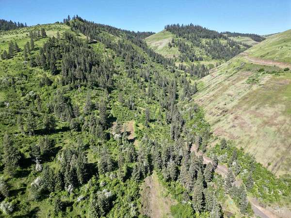 43 Acres of Recreational & Residential Land for Sale in Kooskia, Idaho