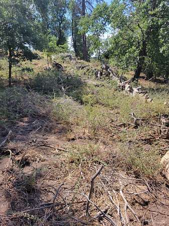 1 Acre of Residential Land for Sale in Tehachapi, California