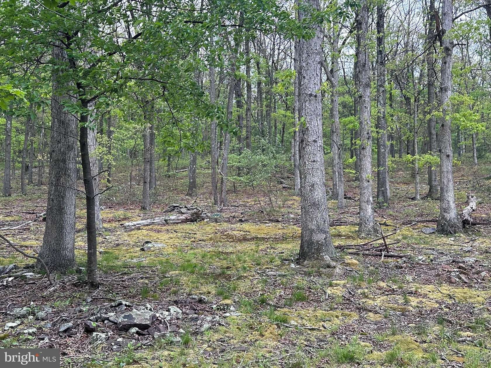 1.23 Acres of Residential Land for Sale in Keyser, West Virginia