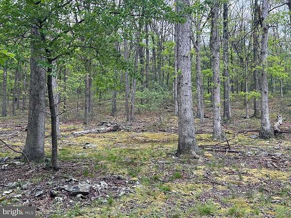 1.23 Acres of Residential Land for Sale in Keyser, West Virginia