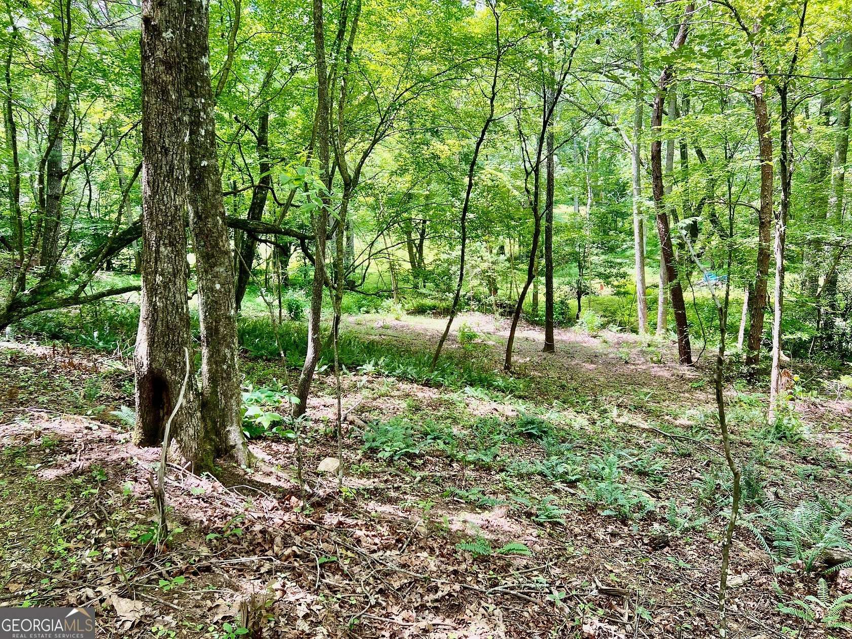 1.29 Acres of Residential Land for Sale in Blairsville, Georgia