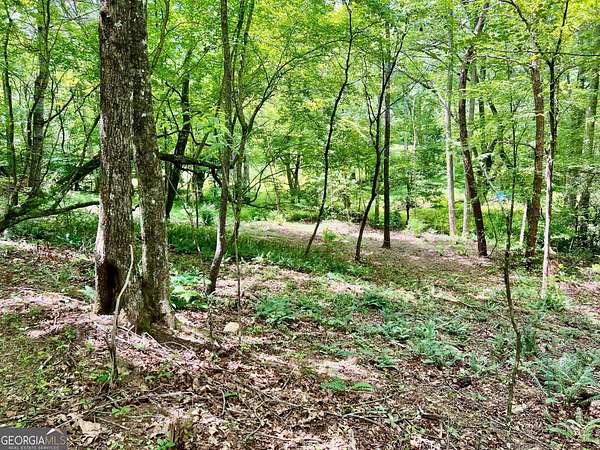1.29 Acres of Residential Land for Sale in Blairsville, Georgia