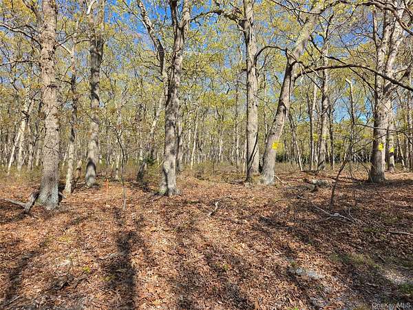 1.23 Acres of Residential Land for Sale in Southampton, New York