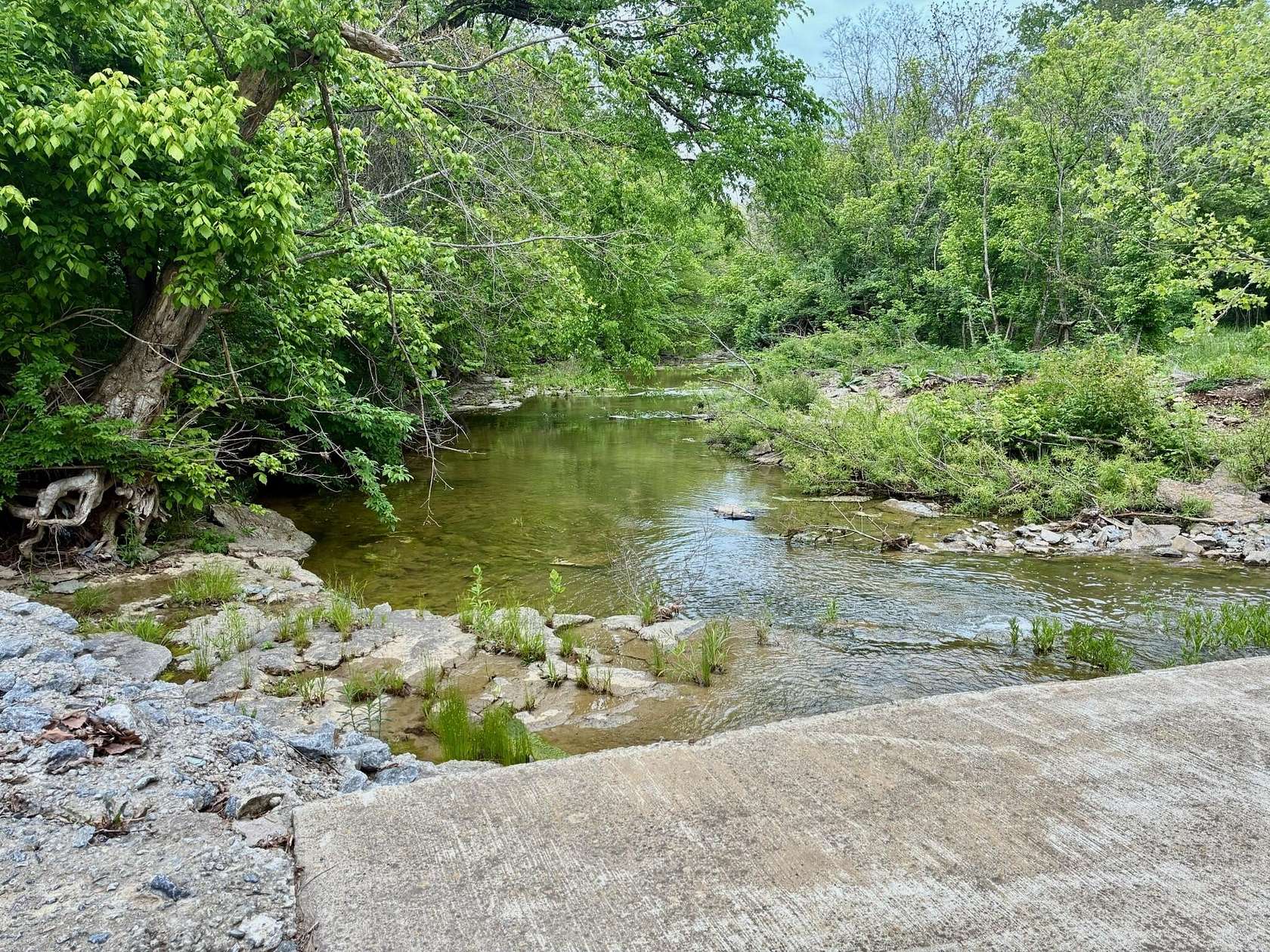 60.1 Acres of Recreational Land with Home for Sale in Carlisle, Kentucky