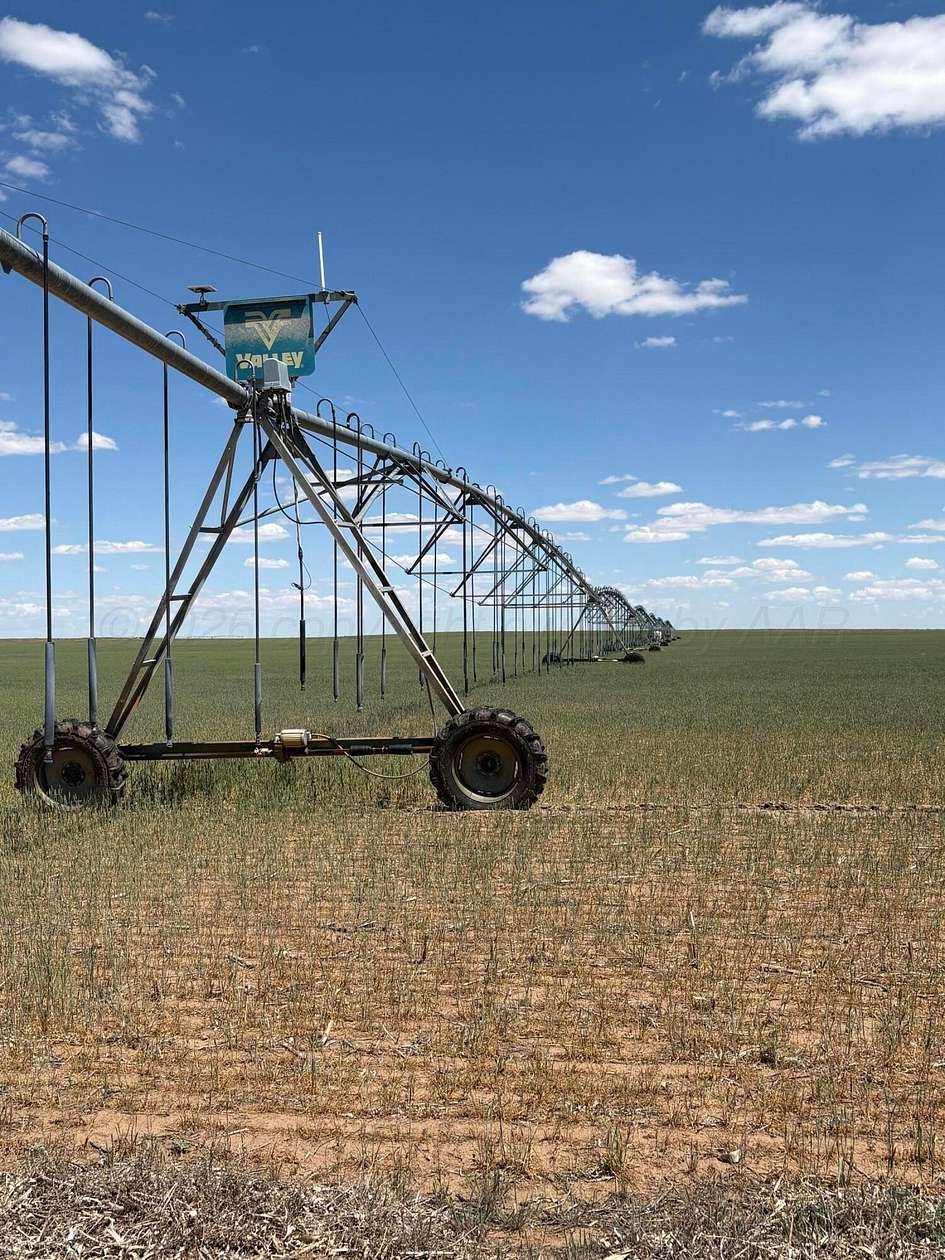 3,200 Acres of Agricultural Land for Sale in Dalhart, Texas