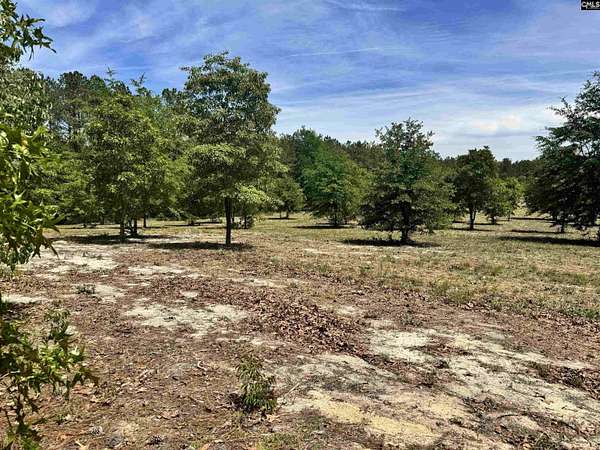 3 Acres of Residential Land for Sale in Cassatt, South Carolina